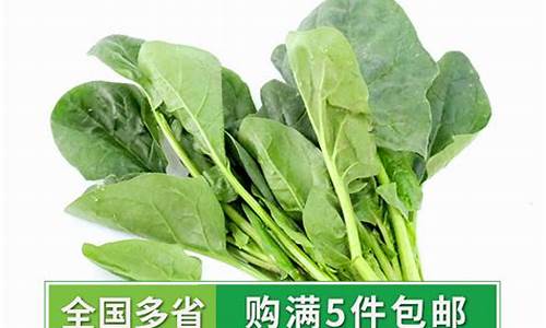 菠菜资源平台大全：菠菜优惠担保(2020最新菠菜担保网)