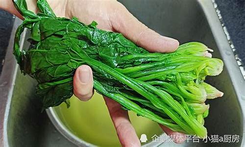 菠菜注册(菠菜信息)