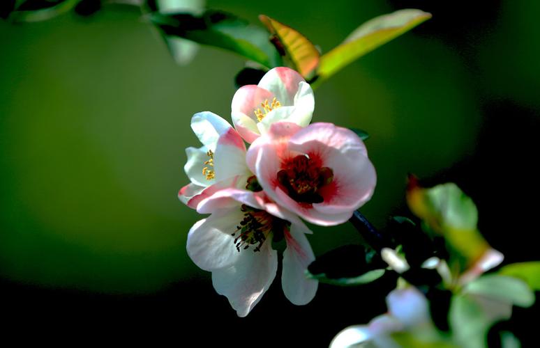 菠菜交流平台(菠菜技术交流论坛)